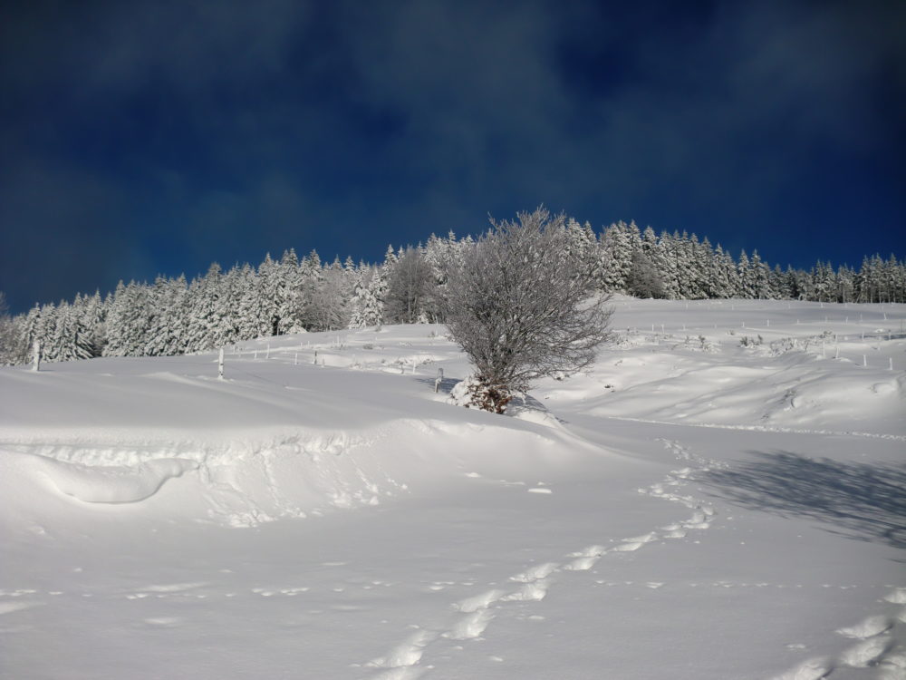 Wintersport in de Vogezen