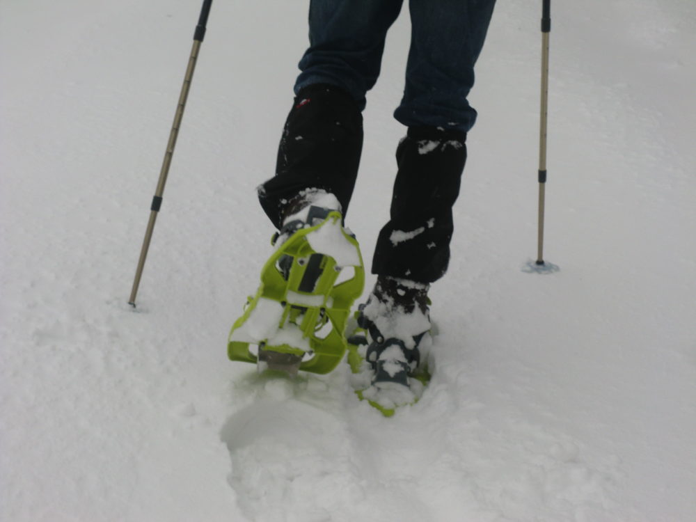 Sneeuwschoen wandelen in de Vogezen met B&B Goutte à Goutte